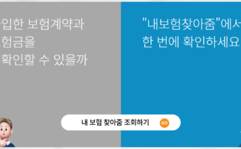 숨은 보험금 찾는 법, ‘내보험찾아줌’ 무료 서비스 완벽 가이드