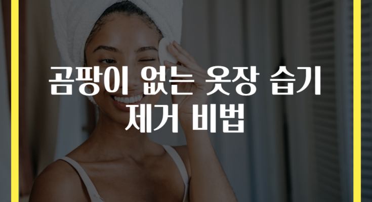 곰팡이 없는 옷장 습기 제거 비법