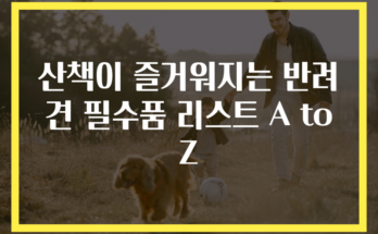 산책이 즐거워지는 반려견 필수품 리스트 A to Z