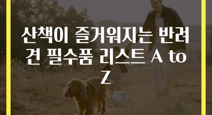 산책이 즐거워지는 반려견 필수품 리스트 A to Z