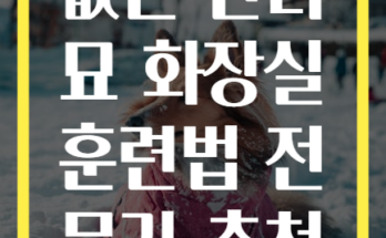 스트레스 없는 반려묘 화장실 훈련법 전문가 추천 방법