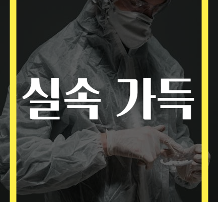 실속 가득