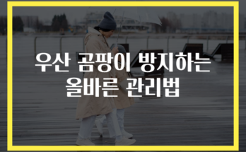 우산 곰팡이 방지하는 올바른 관리법