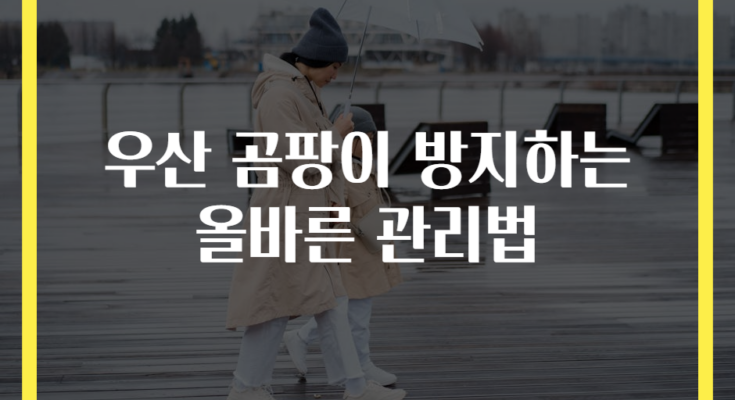 우산 곰팡이 방지하는 올바른 관리법