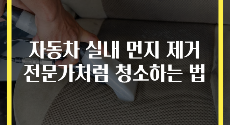 자동차 실내 먼지 제거 전문가처럼 청소하는 법