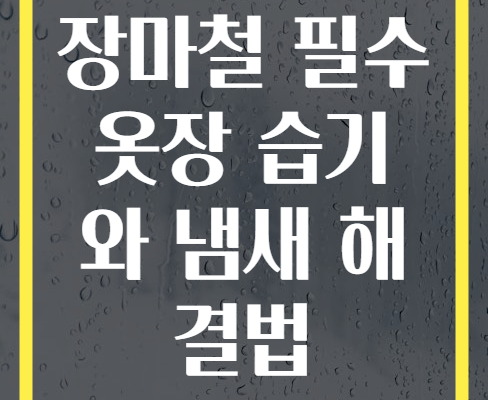 장마철 필수 옷장 습기와 냄새 해결법