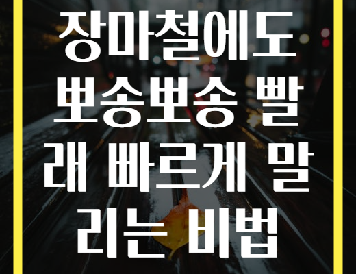 장마철에도 뽀송뽀송 빨래 빠르게 말리는 비법