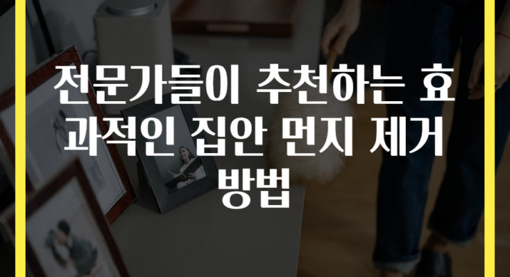 전문가들이 추천하는 효과적인 집안 먼지 제거 방법