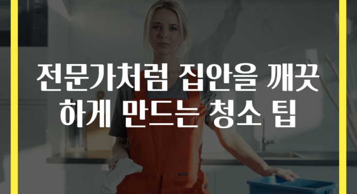 전문가처럼 집안을 깨끗하게 만드는 청소 팁