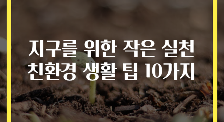 지구를 위한 작은 실천 친환경 생활 팁 10가지