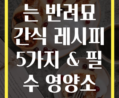 집에서 만드는 반려묘 간식 레시피 5가지 & 필수 영양소 가이드