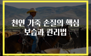 천연 가죽 손질의 핵심 보습과 관리법