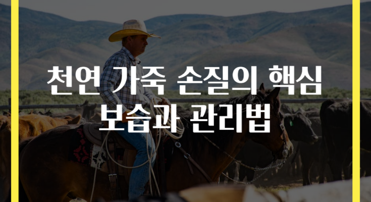 천연 가죽 손질의 핵심 보습과 관리법