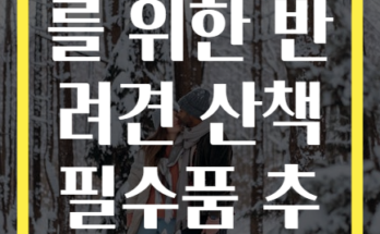 초보 견주를 위한 반려견 산책 필수품 추천