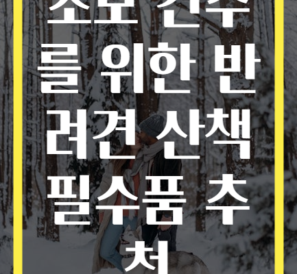 초보 견주를 위한 반려견 산책 필수품 추천