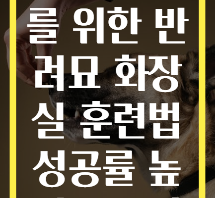 초보 집사를 위한 반려묘 화장실 훈련법 성공률 높이는 요령