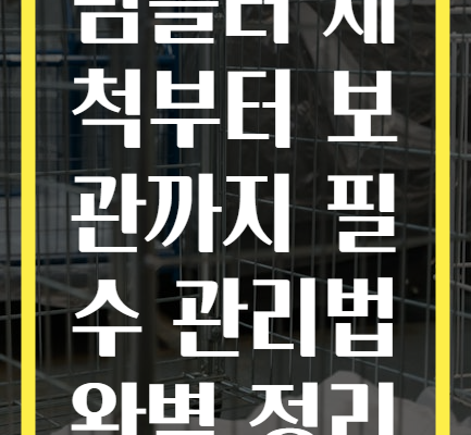 텀블러 세척부터 보관까지 필수 관리법 완벽 정리