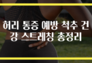 허리 통증 예방 척추 건강 스트레칭 총정리