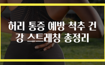 허리 통증 예방 척추 건강 스트레칭 총정리