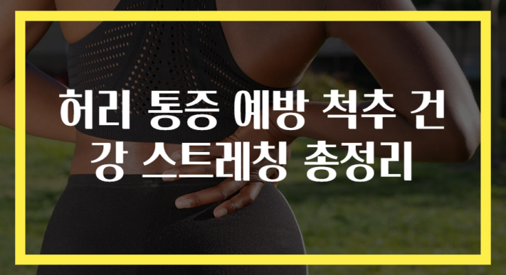 허리 통증 예방 척추 건강 스트레칭 총정리